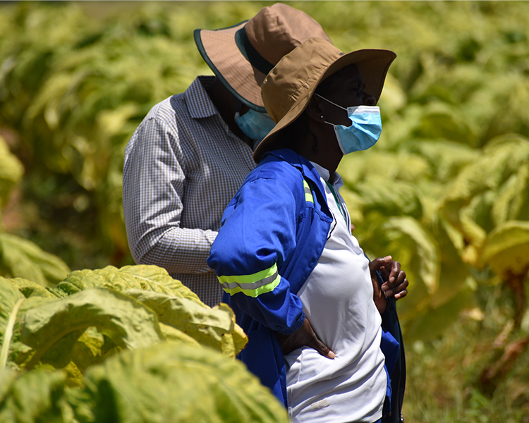 125 Arrested for Side Marketing